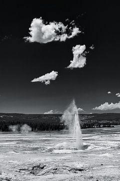 Geyser in Yellowstone by Denis Feiner