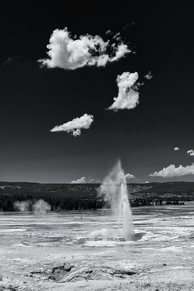 Geiser in Yellowstone van Denis Feiner