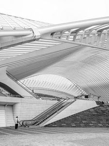 Architectuur - Lijnen Station Liège Guillemins