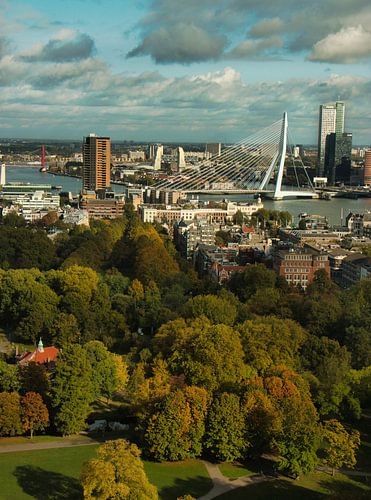 De Erasmusbrug is fotogeniek, ook vanaf de Euromast