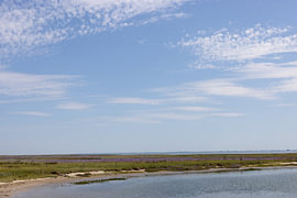Pictures of Spiekeroog, an East Frisian island in the North Sea. by Bianca Meyering Fotos - BMF