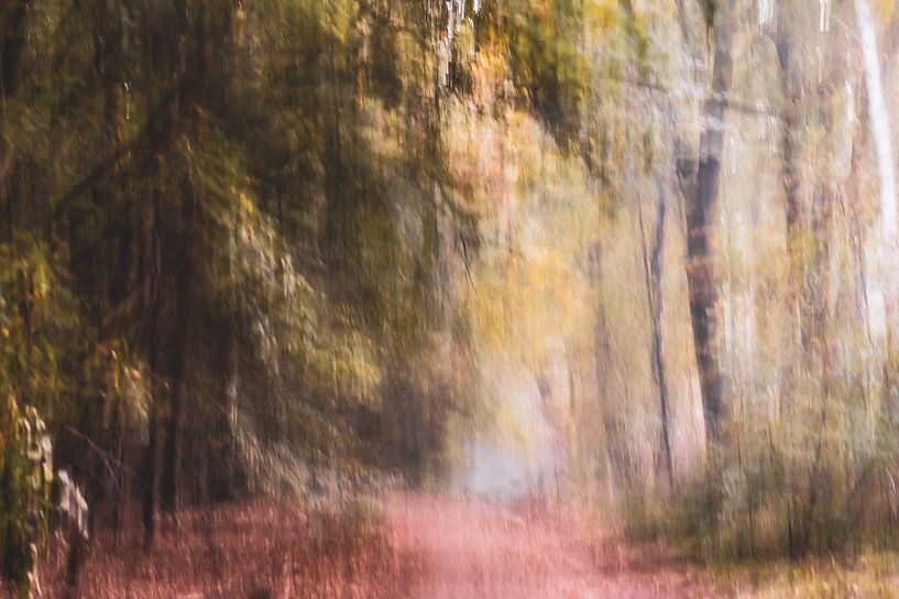 like a painting by Tania Perneel