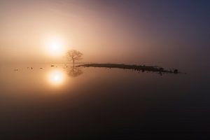 Volgelopen uiterwaarden ijssel van Rick Kloekke