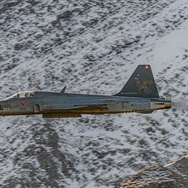 Northrop F-5E Tiger II van de Zwitserse Luchtmacht. van Jaap van den Berg