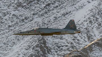 Northrop F-5E Tiger II van de Zwitserse Luchtmacht.