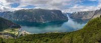 Stegastein view