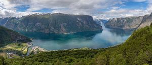 Stegastein vue