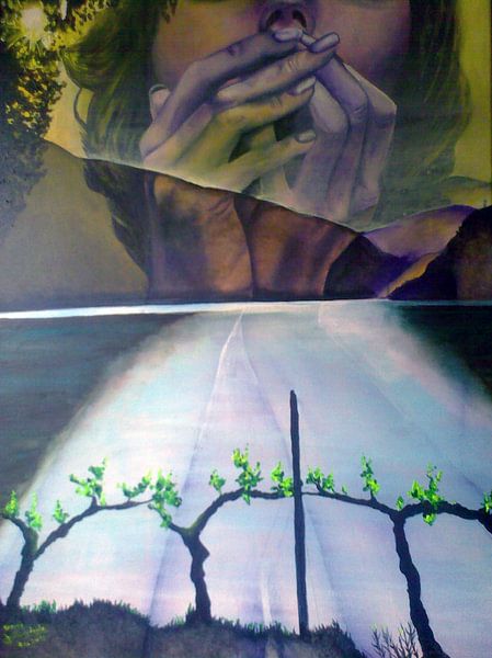Douro by Joao Andrade Rebelo Carlos