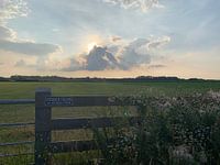 Natuur