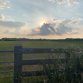 Natuur van Nico Feenstra