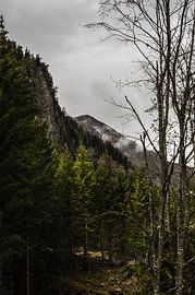 Göriach / Austria by Schwarzes Pech Photography