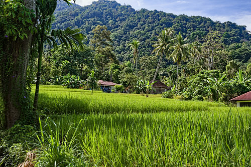 Eine grüne Oase im Herzen Sumatras