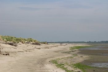 Duinen 