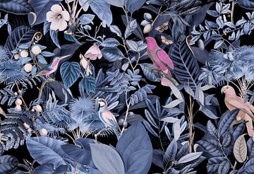 Au paradis tropical des oiseaux sur Andrea Haase