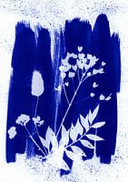 Blue dried flowers
