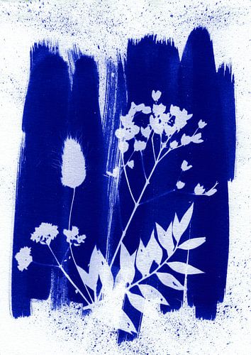 Blauwe droogbloemen
