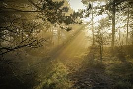 Mystic sur Dirk van Egmond