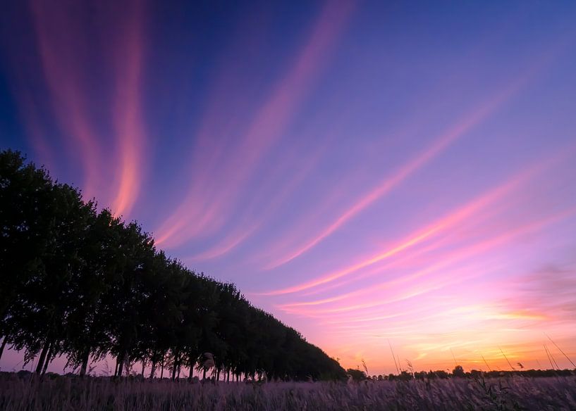 Blue hour by Willemijn Wolthaus