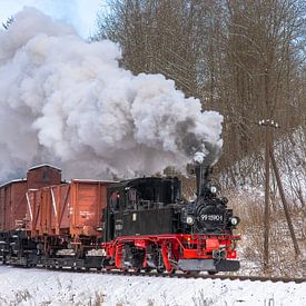 Press IVK 99 1590 te Wildbach van Marcel Timmer