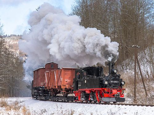 Press IVK 99 1590 te Wildbach van Marcel Timmer