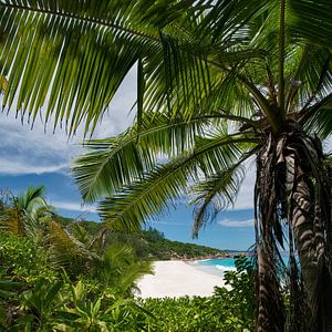 Eenzaam strand in de Indische Oceaan van Voss Fine Art Fotografie