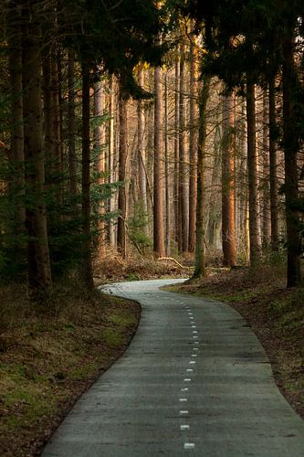 Chemin de l'illumination