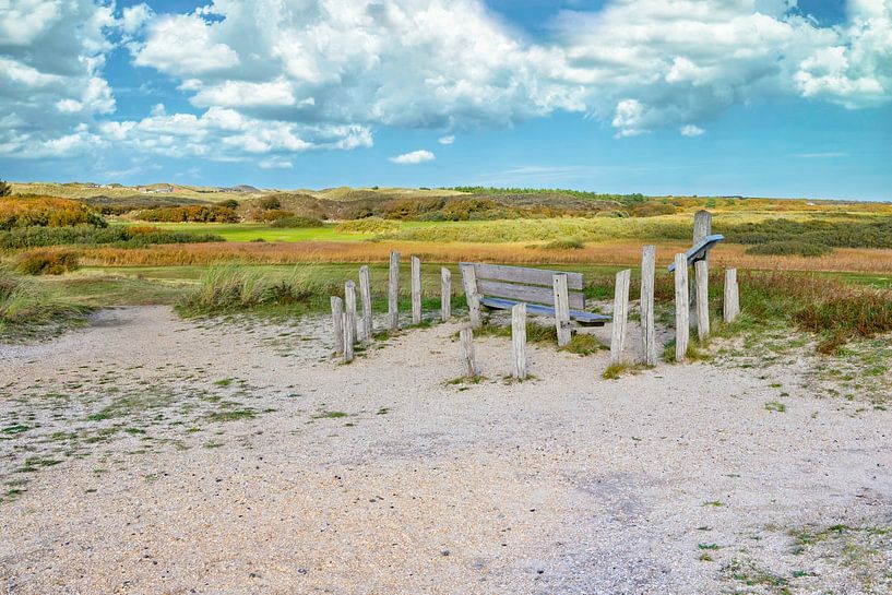Zwanenwasser-Dünenlandschaft bei Callantsoog von eric van der eijk