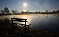 Winter am See von Ulrike Leone Miniaturansicht