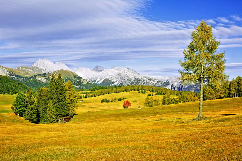 De Alpe di Siusi in de herfst - Variant van Gisela Scheffbuch