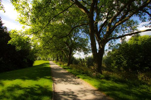 Wandeling in het park in Buren