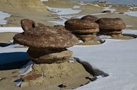 Ah-Shi-Sle-Pah Wilderness Study Area in de winter met grappige stenen figuren, New Mexico, USA van Frank Fichtmüller thumbnail