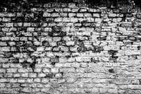Muur