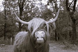 fool around by Ramon Beekelaar