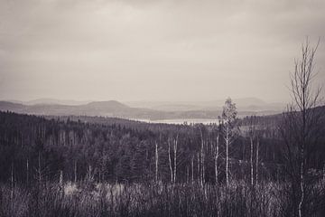 Vue d'un lac au loin dans la brume sur thomaswphotography