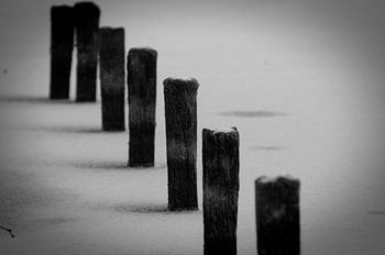 Posts in the water