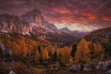 Explosion of colors II by Martin Podt