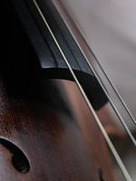 Viool Closeup 02 | Picture