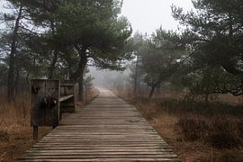 Twickeler Strandpromenade von Lambertus van der Vegt