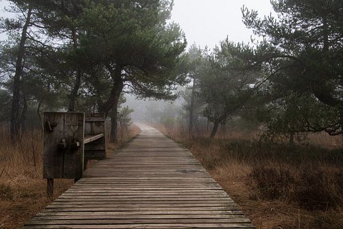 Twickeler Strandpromenade von Lambertus van der Vegt