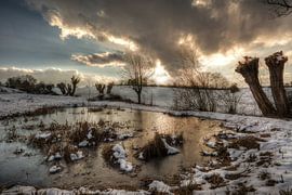 Ruhe von Carina Buchspies