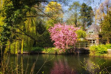 Park Oog in Al in Utrecht in de lente