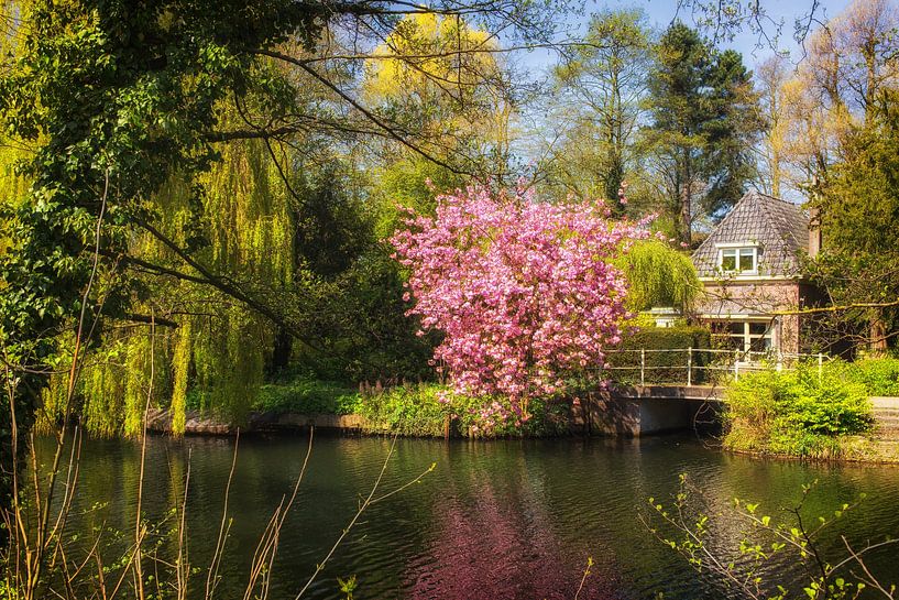 Park Oog in Al à Utrecht au printemps par André Blom Fotografie Utrecht