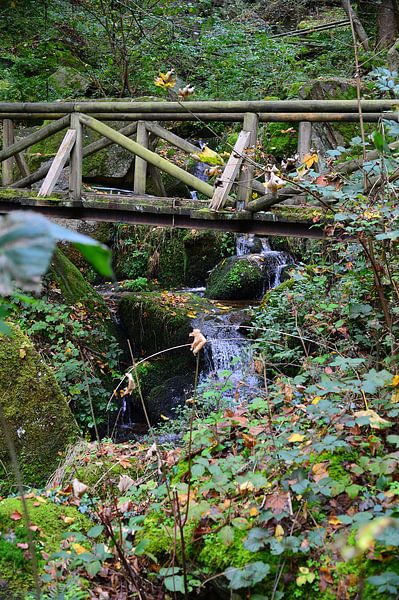 Mountain stream black forest 2.7 by Ingo Laue
