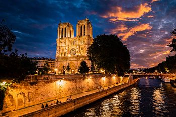 Cathédrale Notre Dame de Paris sur les rives de la Seine, de nuit à Paris, France