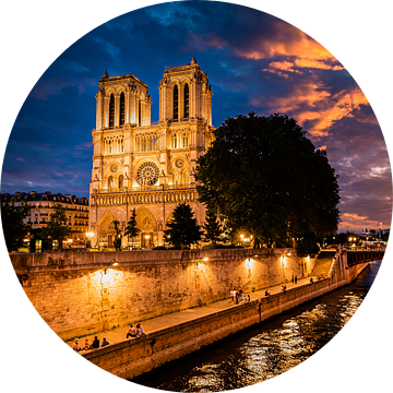 Notre Dame de Paris kathedraal aan de oevers van de Seine bij nacht in Parijs Frankrijk van Dieter Walther