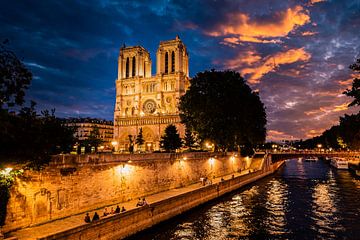 Notre Dame de Paris Cathedral on the banks of the Seine at night in Paris France by Dieter Walther