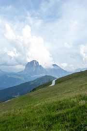 seceda van Sebastian Stef