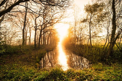 Spiegelung des Morgenlichts auf einem Graben.