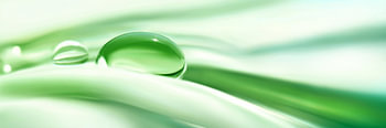 Gouttes d'eau