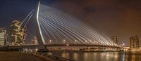 Een Panorama van de Erasmusbrug met mist RawBird Photo's Wouter Putter